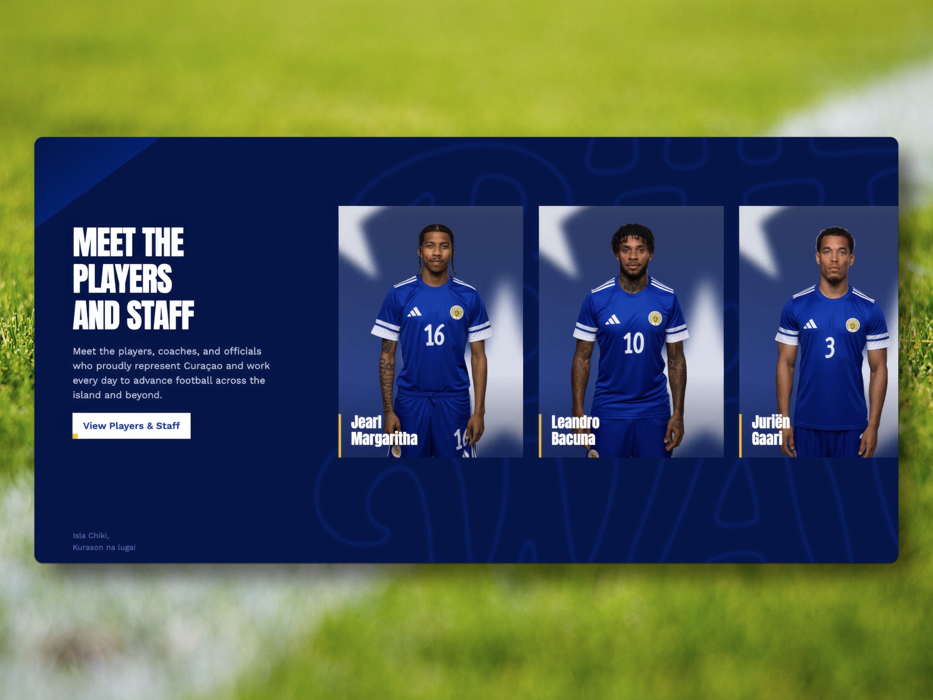 Meet the Players and Staff — Blue Wave desktop composition on grass background